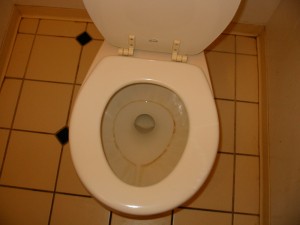 Our new toilet