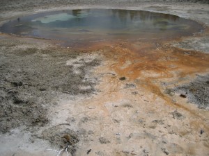 hot springs in yellowstone
