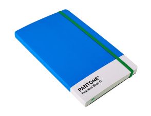 pantone notebook where I keep my ideas about my short stories